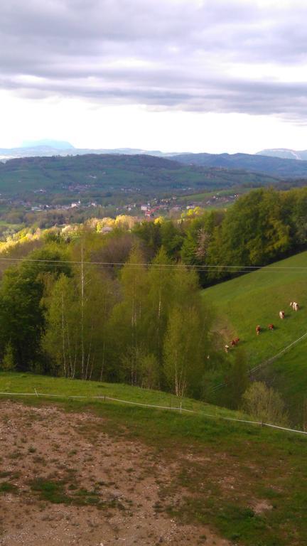 Hotel Ferme De La Cochette Montcel  Zewnętrze zdjęcie